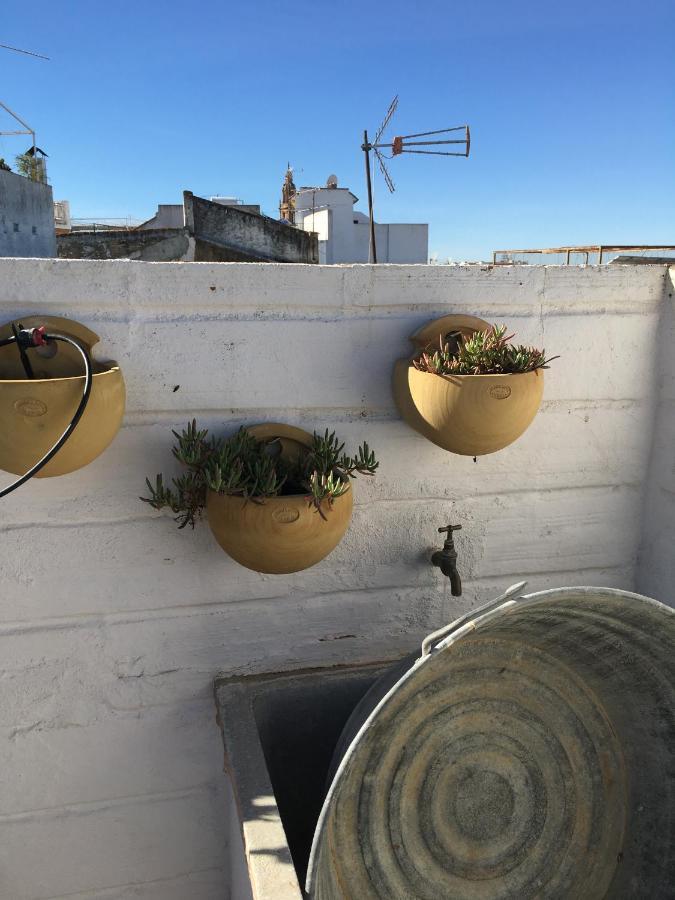 Villa Casa Leon Blanco Carmona Reformada Centrica Con Chimenea Y Terraza Con Vistas Exterior foto