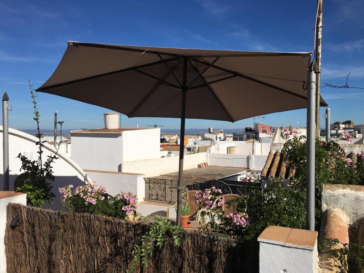 Villa Casa Leon Blanco Carmona Reformada Centrica Con Chimenea Y Terraza Con Vistas Exterior foto